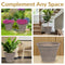 Sunnydaze Franklin Polyresin Outdoor Flowerpot Planter