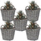5 wicker planters with plants