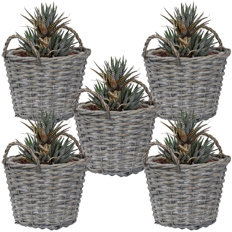 5 wicker planters with plants