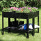 Two black raised garden beds with shelves full of lush plants sitting on grass.