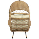 Back view of brown and beige shaded comfort wicker egg chair