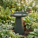 Sunnydaze Gleeful Garden Metal Outdoor Bird Bath - UV-Resistant Finish