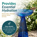 Blue glass birdbath filled with water, with a small brown bird drinking from the bowl. Text highlights essential hydration, attracting a variety of birds, and weekly cleaning instructions.