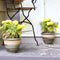 Sunnydaze Set of 2 Indoor/Outdoor Purlieu Ceramic Planters - 12"