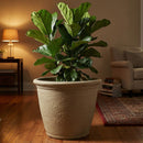 Sunnydaze Anjelica Polyresin Large Round Outdoor Planter