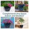 Sunnydaze Studio Glazed Ceramic Planter with Drainage Holes