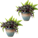 Sunnydaze Set of 2 Indoor/Outdoor Purlieu Ceramic Planters - 12"