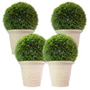 Four cream-colored decorative planters in two different sizes, each filled with a rounded green shrub and featuring raised floral scroll detailing.