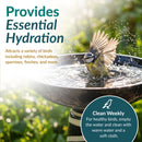 Black-and-cream decorative glass birdbath with a bird splashing in the water, highlighting hydration for birds and weekly cleaning instructions.