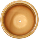 Inside view of a yellow ceramic planter, showing the predrilled drainage hole.