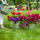 Sunnydaze 4-Leaf Clover-Shaped Galvanized Steel Raised Garden Bed