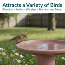 Sunnydaze Glazed Ceramic Outdoor Bird Bath