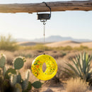Sunnydaze Solar Bird Feeder with Glass Fly-Through Design