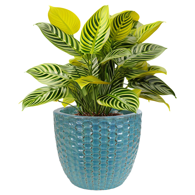 Sunnydaze 14" Ceramic Plant Pot - Turquoise Raised Hexagon Pattern