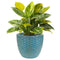 Sunnydaze 14" Ceramic Plant Pot - Turquoise Raised Hexagon Pattern