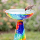 Vibrant multicolored glass birdbath filled with water, featuring a red, blue, green, and yellow swirled design, with a small bird drinking from the bowl.