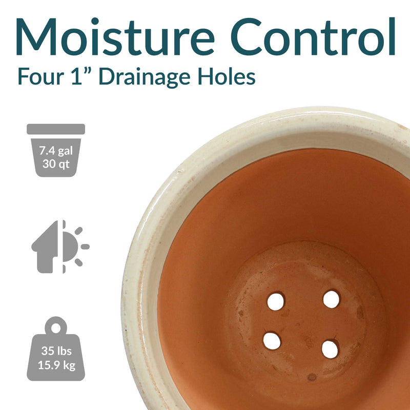 Sunnydaze Studio Glazed Ceramic Planter with Drainage
