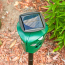 Sunnydaze 360° Solar-Powered Animal Repellent