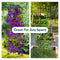 Sunnydaze 2-Piece Chic Diamonds Garden Trellis for Climbing Plants