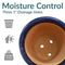 Sunnydaze Studio Glazed Ceramic Planter with Drainage