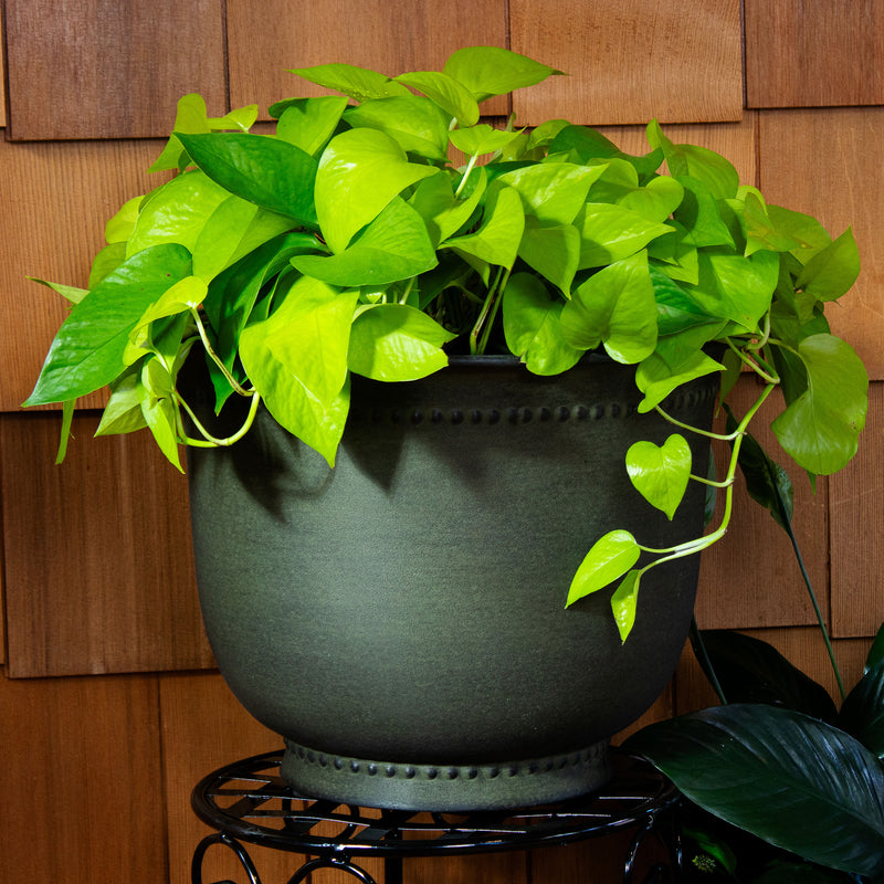 green outdoor plant pots Michael Metal Outdoor Planter - Set of 4