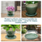 Sunnydaze Set of 4 Glazed Ceramic Planter Saucers