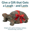 Sunnydaze Tortoise Concrete Garden Statue