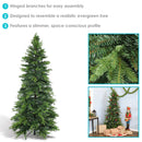 Sunnydaze Stately and Slim Artificial Christmas Tree - Unlit