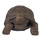 Sunnydaze Indoor or Outdoor Talia the Tortoise Statue - 29"