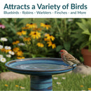 Sunnydaze Glazed Ceramic Outdoor Bird Bath