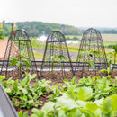 Sunnydaze Mesh Cloche Plant Protector with Removable Cover - 6-Pack