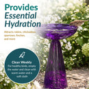 Purple glass birdbath filled with water, with a small brown bird drinking from the bowl. Text highlights essential hydration, attracting a variety of birds, and weekly cleaning instructions.