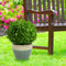 Sunnydaze Chalet High-Fired Glazed Ceramic Planter - 14.5"