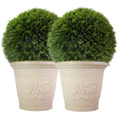 Two cream-colored decorative planters with raised floral scroll detailing, each filled with a rounded green shrub.