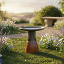 Sunnydaze Glazed Ceramic Outdoor Bird Bath
