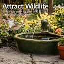 Sunnydaze Green Glazed Ceramic Solar Water Fountain - Frog