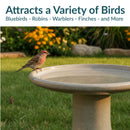 Sunnydaze Glazed Ceramic Outdoor Bird Bath