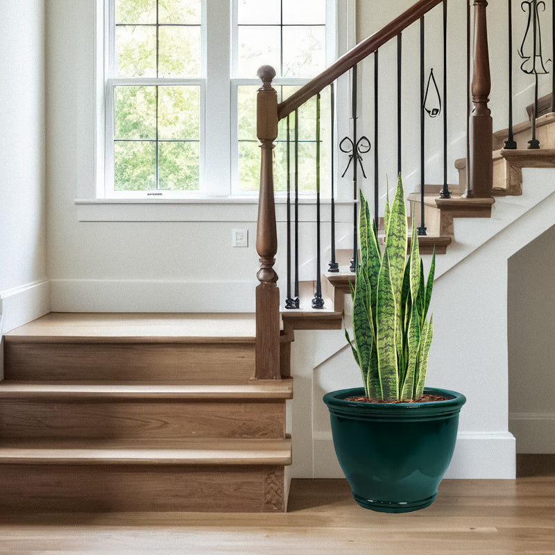 Sunnydaze Studio Glazed Ceramic Planter with Drainage