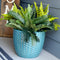 Sunnydaze 14" Ceramic Plant Pot - Turquoise Raised Hexagon Pattern