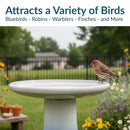 Sunnydaze Glazed Ceramic Outdoor Bird Bath