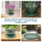 Sunnydaze Set of 4 Glazed Ceramic Planter Saucers