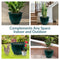 Sunnydaze Studio Glazed Ceramic Planter with Drainage