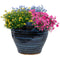 Sunnydaze Studio Glazed Ceramic Planter with Drainage Holes