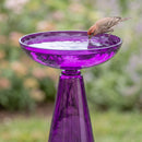 Purple glass birdbath filled with water, with a small brown bird drinking from the edge of the bowl in a garden setting.