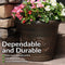 Sunnydaze Arabella Polyresin Outdoor Flower Pot Planter