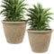 Sunnydaze Anjelica Polyresin Outdoor Flower Pot Planter