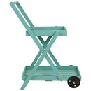 Sunnydaze 2-Tiered Flower Garden Cart - 34” H - Robin Egg Blue