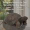 Sunnydaze Tortoise Concrete Garden Statue