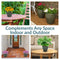 Sunnydaze Resort Glazed Ceramic Planter with Drainage Holes - Set of 2