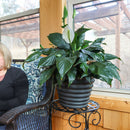 Sunnydaze Molly Indoor/Outdoor Metal Plant Pots - 12.5"